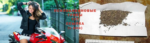 стафф Богородск