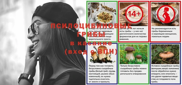mdpv Богданович