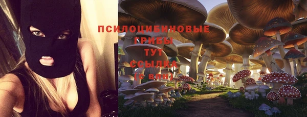 mdpv Богданович