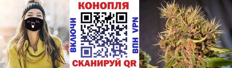 Шишки марихуана план  где найти   Ангарск 